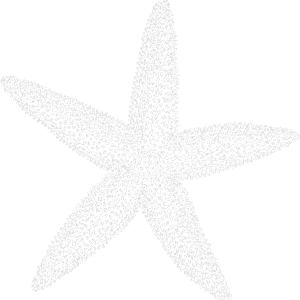 Logo for Behavior and Education Support Services